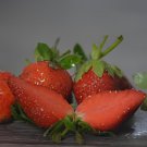 200 Seeds Fragaria Ananassa Rare Giant Flat Strawberry Fresh Seeds
