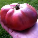 200 Seeds Heirloom Brandywine True Black Lycopersicon lycopersicum Tomato Fresh Seeds