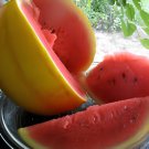 40 Seeds Watermelon 'Gift of the Sun' Yellow Skin Red Inside Fruit Fresh Seeds