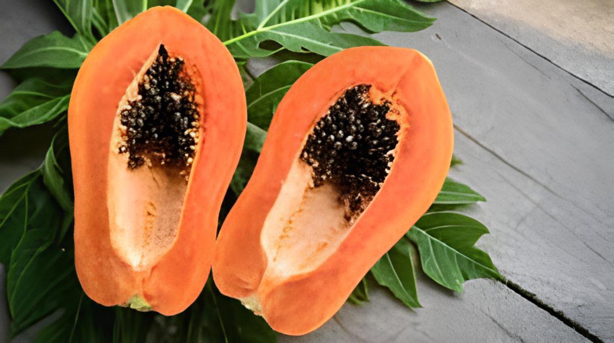 12 Seeds Yellow Papaya Yellow Skin Organic Fruit Fresh Seeds