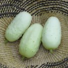 20 Seeds Miniature Sweet White Cucumber Cucumis Sativus Fresh Seeds