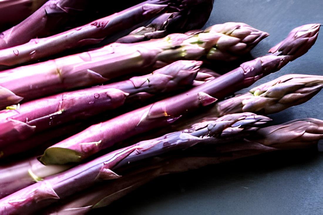 100 Seeds Purple Asparagus Fresh Seeds