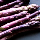 100 Seeds Purple Asparagus Fresh Seeds