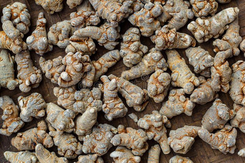 1000 Seeds Chinese Panax Notoginseng Pseudo-ginseng Fresh Seeds