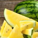 16 Seeds Yellow Watermelon Organic Fresh Seeds