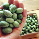 20 Seeds Heirloom Mouse Melon Sandiita Cucamelon Melothria Scabra Fresh Seeds