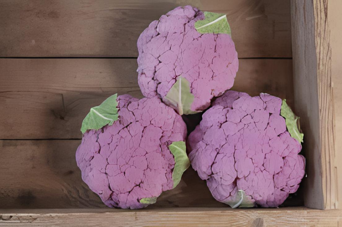 100 Seeds Graffiti Dark Purple Cauliflower Hybrid Brassica Oleracea Fresh Seeds