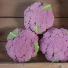 100 Seeds Graffiti Dark Purple Cauliflower Hybrid Brassica Oleracea Fresh Seeds