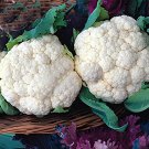 100 Seeds Natural Health White Broccoli Cauliflower Fresh Seeds