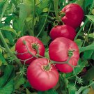 200 Seeds Hybrid Rose Pink Big Tomato Fresh Seeds