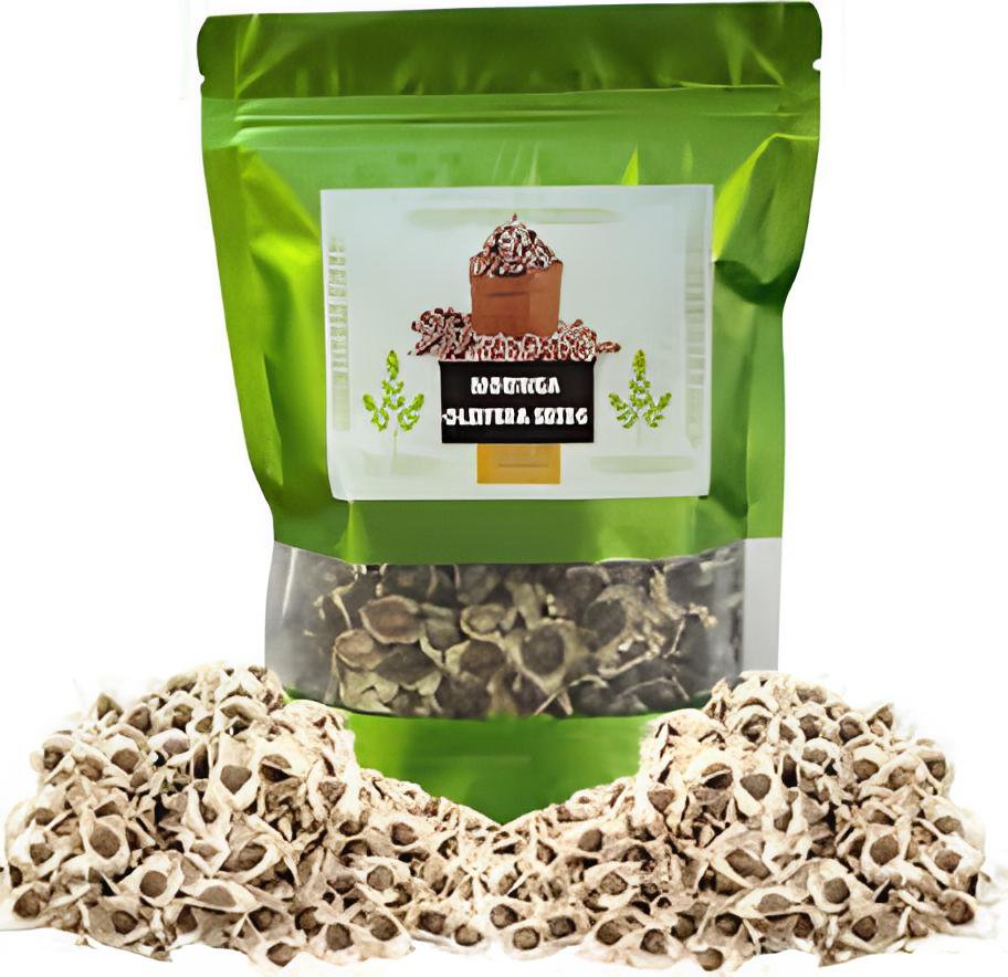 200 Seeds Fresh Edible Moringa Semillas Fresh Seeds