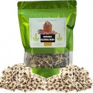 200 Seeds Fresh Edible Moringa Semillas Fresh Seeds