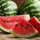 40 Seeds Big Long Red Sweet Seedless Watermelon Organic Heirloom Fresh Seeds