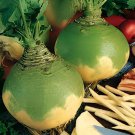 400 Seeds Swede 'Wilhelmsburger' Rutabaga Green Top Vegetables Fresh Seeds