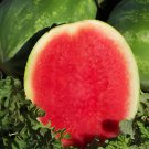 10 Seeds Dark Green Seedless Watermelon Red Inside Fruits Fresh Seeds