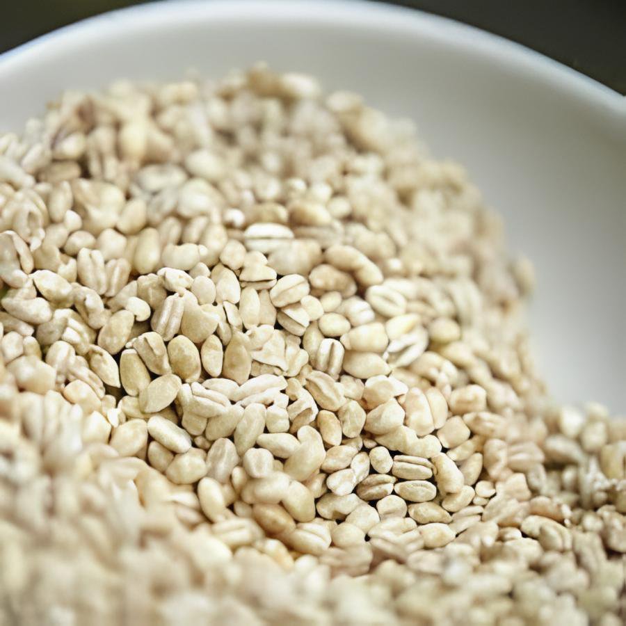 100 Seeds Barley Fresh Seeds