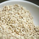 100 Seeds Barley Fresh Seeds