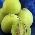 40 Seeds Heirloom Yellow Green Sticky Sweet Melon Fresh Seeds