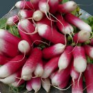 70 Seeds Sausage Radish Seeds Balcony Potted Vegetable Fruit Belle Radish Fresh Seeds