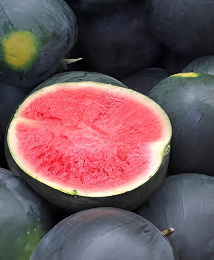 80 Seeds Black Diamond Watermelon Fresh Seeds