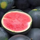 80 Seeds Black Diamond Watermelon Fresh Seeds