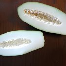 12 Seeds Guangxi Green Skin White Inside Giant Papaya Fruit Fresh Seeds