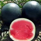100 Seeds Heirloom Sweet Black Skin Red Round Seedless Water Melon Fresh Seeds