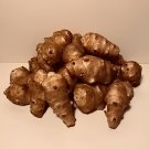 100 Seeds Organic Jerusalem Artichoke Roots Healthy Foods Selling As Fresh Seeds
