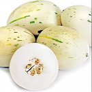 200 Seeds Snow Leopard Melon Fresh Seeds