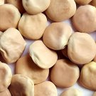 200 Seeds Lupini Beans Sweet Lupini (lupinus Albus) Fresh Seeds