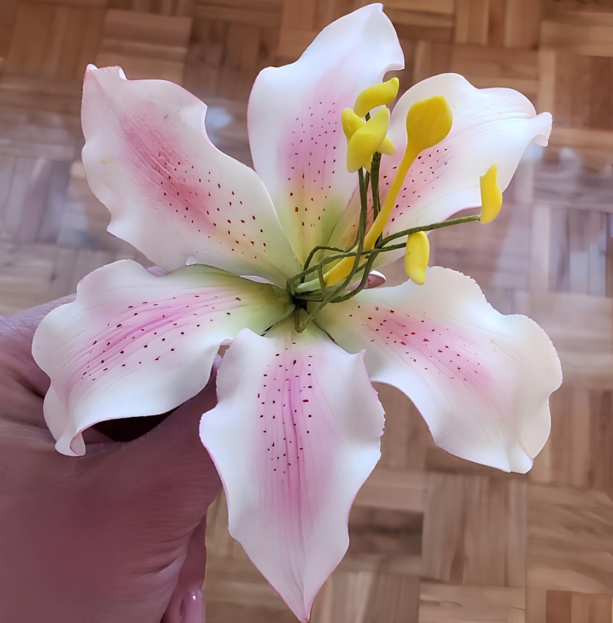 200 Seeds Rare Peruvian Lily Alstroemeria Fresh Seeds