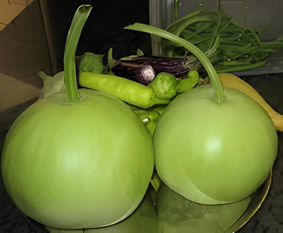 200 Seeds Asian Vegetable Calabash Round Edible Bottle Gourd Fresh Seeds