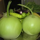 200 Seeds Asian Vegetable Calabash Round Edible Bottle Gourd Fresh Seeds