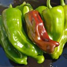 60 Seeds Pepperoncini Pepper (Hard to Find) Fresh Seeds