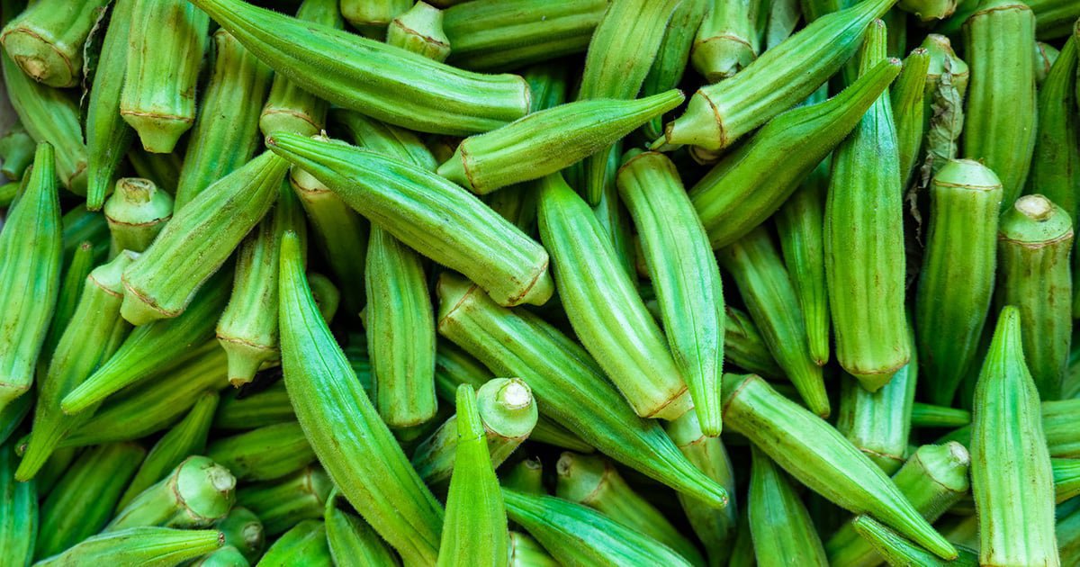 600 Seeds Okra Dark Green Shot Gumbo Vegetables Fresh Seeds