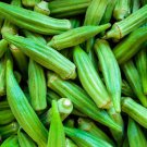 600 Seeds Okra Dark Green Shot Gumbo Vegetables Fresh Seeds