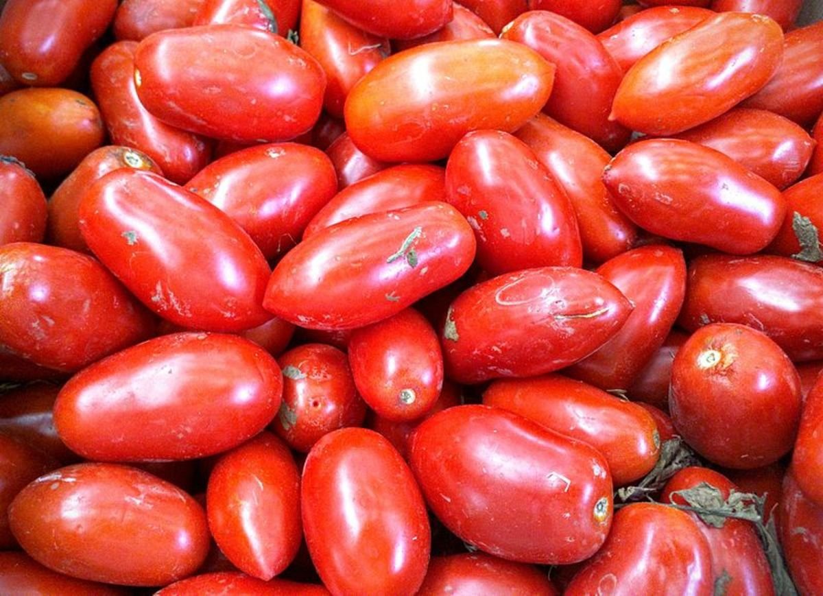 000 Seeds Tomato 'San-Marzano' Vegetable 2 Fresh Seeds