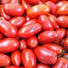 000 Seeds Tomato 'San-Marzano' Vegetable 2 Fresh Seeds