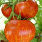 200 Seeds Heirloom Red Zebra Tomato with Golden Stripe Organic Fresh Seeds