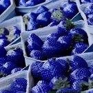 200 Seeds Mixed 4 Types of Blue Purple White Red Strawberry Fresh Seeds