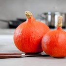 20 Seeds Red Kuri Winter Squash Fresh Seeds