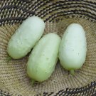 40 Seeds Cucumber Bilyy Anhel-White Angel Organic Vegetable Fresh Seeds