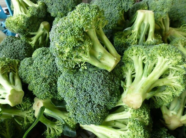 120 Seeds Green Organic Broccoli Heirloom Vegetables Fresh Seeds