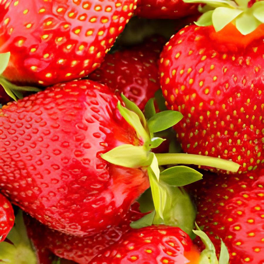 200 Seeds Strawberry Heirloom Imported Fresh Seeds