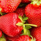 200 Seeds Strawberry Heirloom Imported Fresh Seeds
