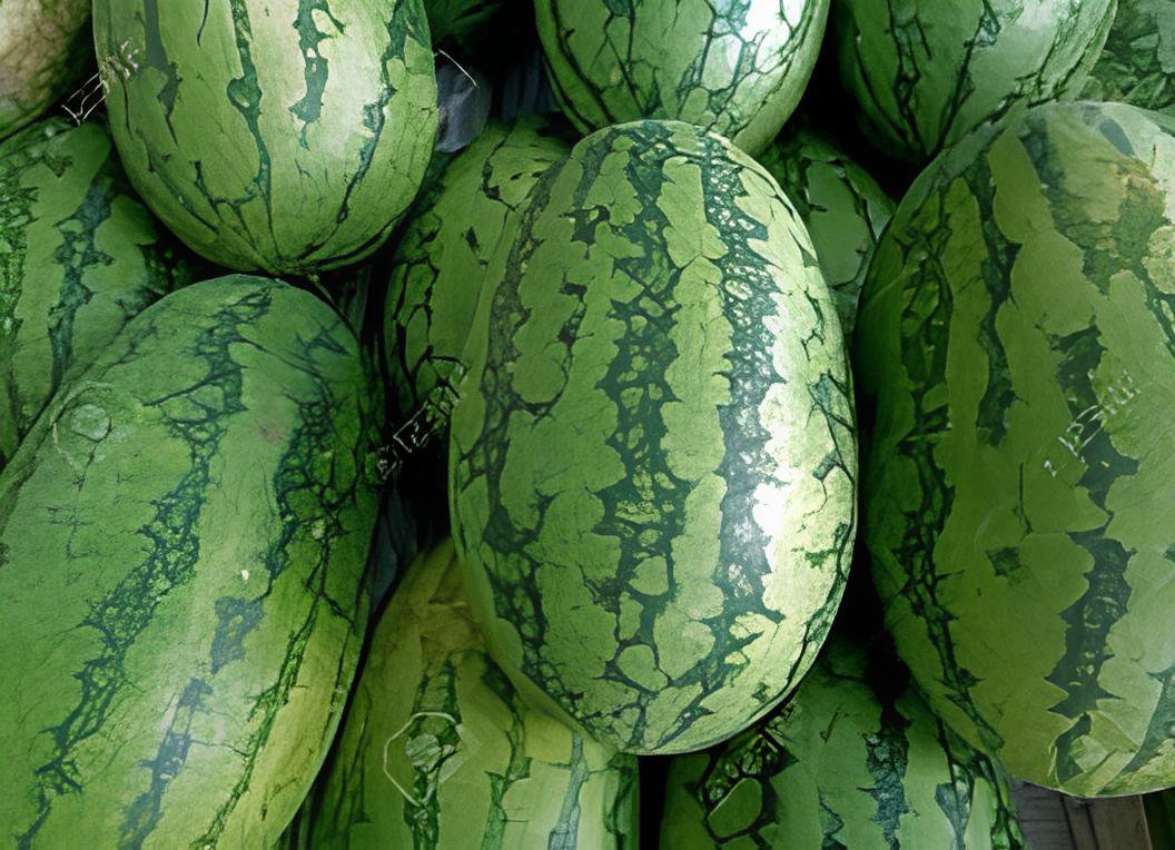 12 Seeds Deep Green Streak Ellipse Red Big Watermelon Fresh Seeds