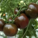 200 Seeds Chocolate Ruffled Tomato Fresh Seeds