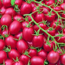 200 Seeds Tomato Cherry 'Rose Red Grape' Fruit Fresh Seeds