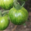 200 Seeds Bright Green White Zebra Tomato Organic Fresh Seeds