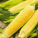200 Seeds Yellow Sweet Corn Fresh Seeds